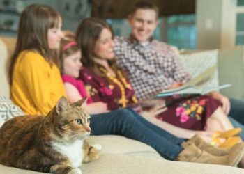 Un tercio de los hispanos indican que no van al médico porque el idioma es una barrera