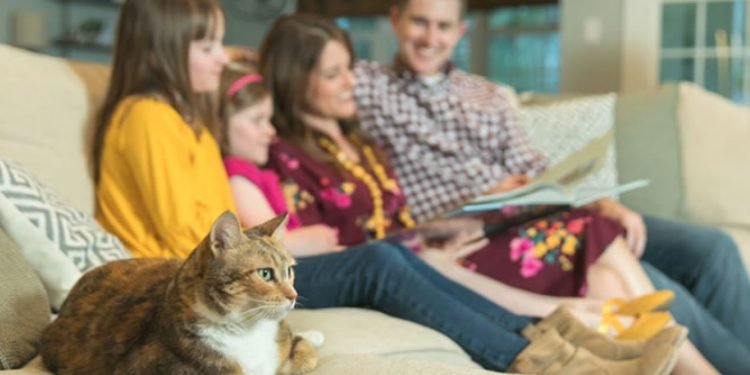 Un tercio de los hispanos indican que no van al médico porque el idioma es una barrera