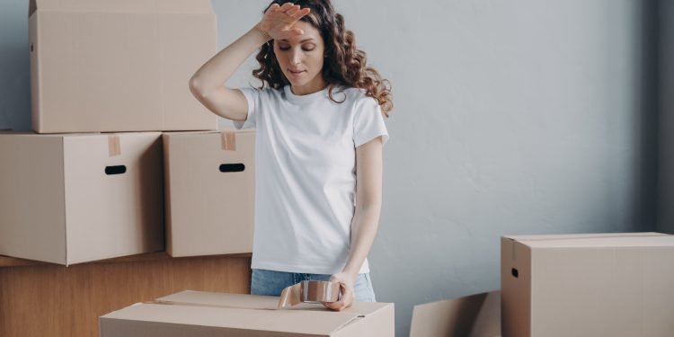 Free Stock photos by Vecteezy